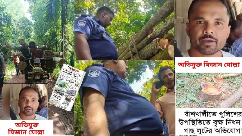 বীর মুক্তিযোদ্ধার বাগান উজাড়: পুলিশের উপস্থিতিতে গ...