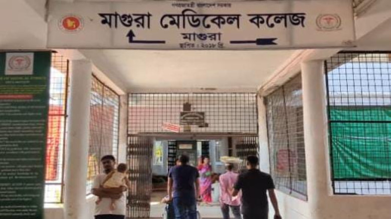মাগুরায় ধান কাটাকে কেন্দ্র করে  সালিশি বৈঠকে হাতুড়...