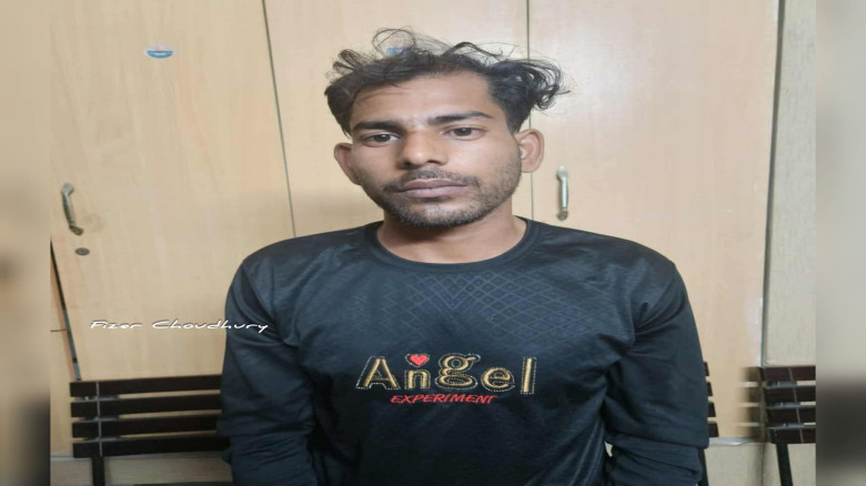 চুয়াডাঙ্গায় রাস্তায় গাছ ফেলে ডাকাতি...
