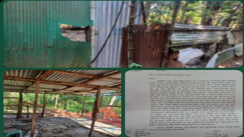 নোয়াখালীতে আপন ভাইয়ের দ্বারা সন্ত্রাসী হামলার স্বী...