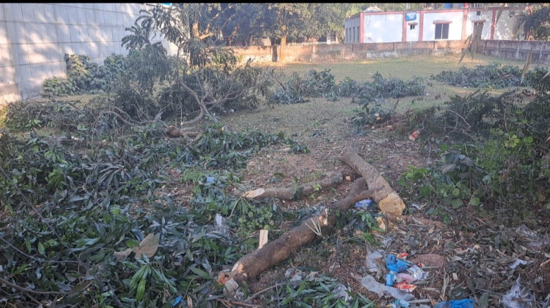 নতুন করে উন্মোচিত হচ্ছে হনুফা মামলার রহস্য...