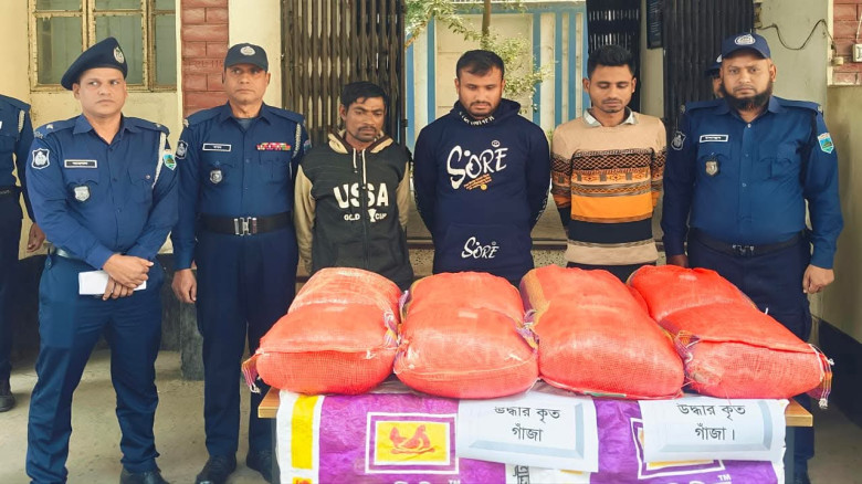 সিরাজগঞ্জে ৪৩ কেজি গাঁজাসহ - ৩ মাদক ব্যবসায়ী গ্রে...