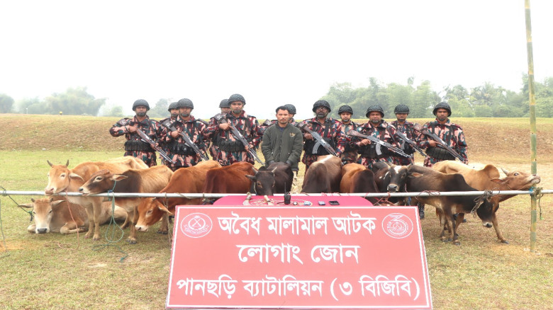 পানছড়ি সীমান্তে বিজিবির অভিযানে ১১টি ভারতীয় গরু ও ...