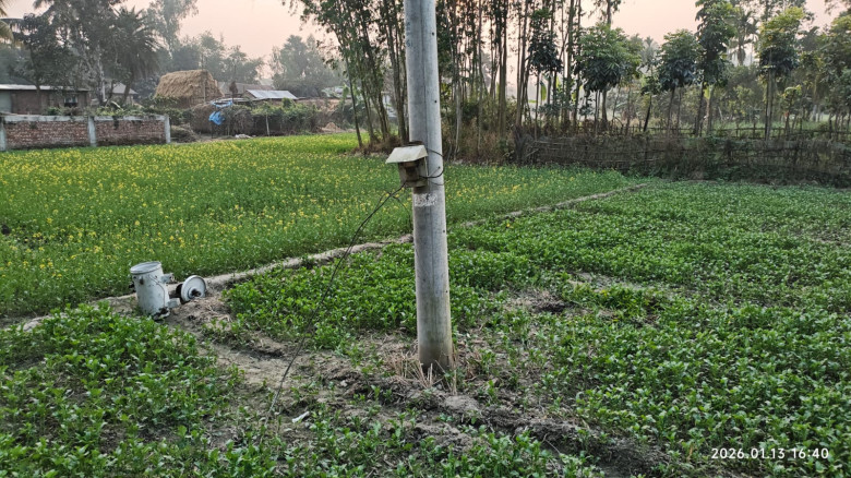 বিরামপুরে একই দিনে দুই ট্রান্সফরমার চুরি বোরো আবাদ...