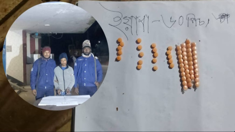 আলফাডাঙ্গায় ইয়াবাসহ এক মাদক ব্যবসায়ীকে আটক করেছে প...