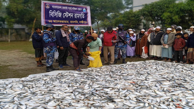 রামগতিতে কোস্টগার্ডের অভিযানে ৪ লাখ টাকার জাটকা  জ...