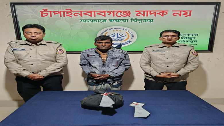 চাঁপাইনবাবগঞ্জে ডিএনসির সফল অভিযানে গাঁজাসহ আটক ১...