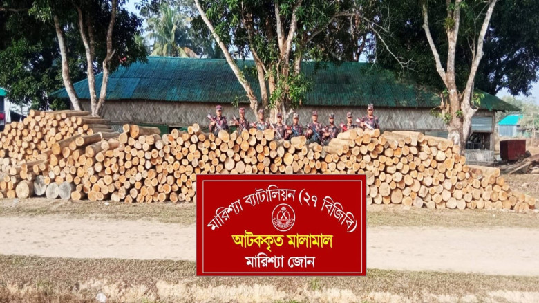 বিজিবির অভিযানে অবৈধ সেগুন কাঠ জব্দ...