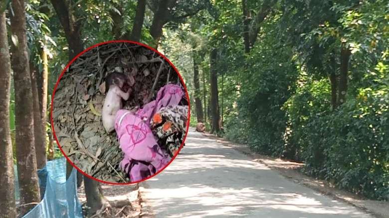 লক্ষ্মীপুরের কমলনগরে সড়কের পাশ থেকে এক নবজাতকের মর...