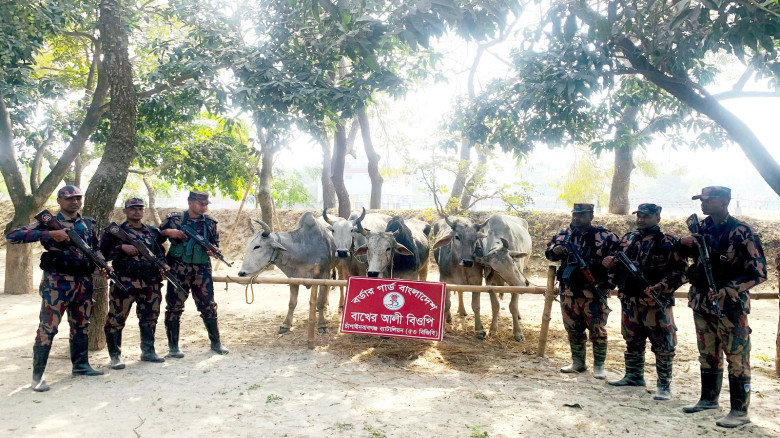 সীমান্তে ৫৩ বিজিবি পৃথক অভিযানে ভারতীয় নেশাজাতীয় স...