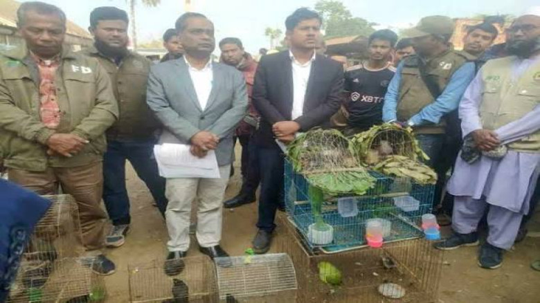 প্রণোদনা বঞ্চনার অভিযোগে ক্ষুব্ধ বন্যপ্র